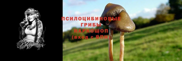 героин Алексин