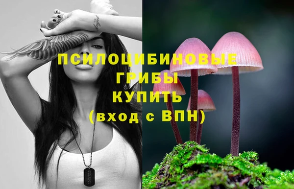 MDMA Алексеевка