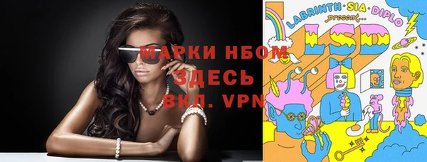 стафф Алзамай