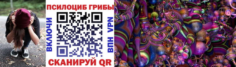 Псилоцибиновые грибы Psilocybine cubensis  купить закладку  это какой сайт  Суровикино 